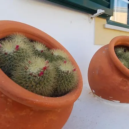 Nyaraló Maison Avec Grande Terrasse *